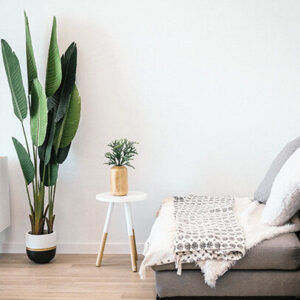 Zen Tissue Box and Desk